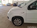  Fiat  Panda FIAT  / 2012 / 5P / BERLINA 900CC NATURAL POWER EURO6D VAN 2 P. POP #71