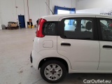  Fiat  Panda FIAT  / 2012 / 5P / BERLINA 1.3 MJT 80 CV VAN EURO6 SeS 4 POSTI EASY #54