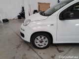  Fiat  Panda FIAT  / 2012 / 5P / BERLINA 1.3 MJT 80 CV VAN EURO6 SeS 4 POSTI EASY #77