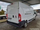 Ducato