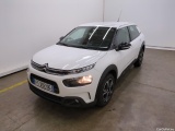C4 Cactus