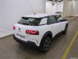 C4 Cactus