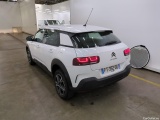 C4 Cactus