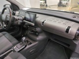 C4 Cactus