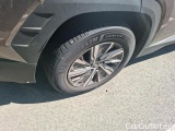  Hyundai  Tucson 1.6 CRDI 136 IBVM HYBRID 48V BUSINESS #40