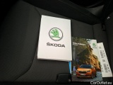  Skoda  Fabia  Ambition 1.0 MPI 80CV BVM5 E6d #12