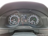  Skoda  Kodiaq  (2016)  1.5TSI 110 Ambition AT #18
