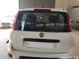  Fiat  Panda FIAT  / 2011 / 5P / BERLINA 0.9 TWINAIR TURBO 85CV WILD 4X4 #60