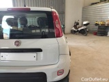  Fiat  Panda FIAT  / 2011 / 5P / BERLINA 0.9 TWINAIR TURBO 85CV WILD 4X4 #62