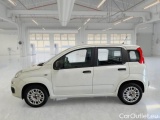  Fiat  Panda FIAT  / 2011 / 5P / BERLINA 1.2 69CV E6D-TEMP EASY #8