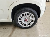  Fiat  Panda FIAT  / 2011 / 5P / BERLINA 1.2 69CV E6D-TEMP EASY #19