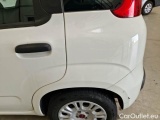  Fiat  Panda FIAT  / 2011 / 5P / BERLINA 1.2 69CV E6D-TEMP EASY #59