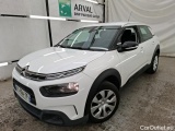 C4 Cactus