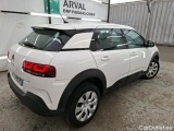C4 Cactus
