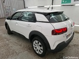 C4 Cactus