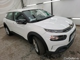 C4 Cactus