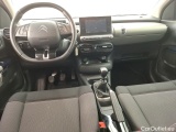 C4 Cactus