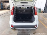  Fiat  Panda FIAT  / 2011 / 5P / BERLINA 1.2 69CV SeS E6D-TEMP EASY #7