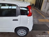  Fiat  Panda FIAT  / 2011 / 5P / BERLINA 1.2 69CV SeS E6D-TEMP EASY #21