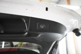  Ford  Focus  Turnier Titanium X 2.0 EcoBlue 110KW AT8 E6d #16