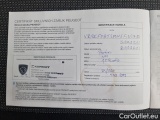  Peugeot  Partner   (2018) Par.1.5BHDI 100 L1 Act.4d #17
