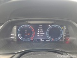  Skoda  Octavia  Combi (NX3)(2020) Oct.C.2.0TDI 110 4x4 Ambit AT #19