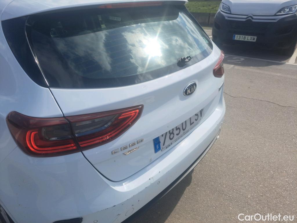  KIA  Cee'd KIA Ceed / 2018 / 5P / berlina con portón 1.0 MHEV 88kW (120CV) Drive DCT #17