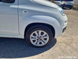  Fiat  Panda FIAT  / 2011 / 5P / BERLINA 0.9 TWINAIR TURBO NATURAL POWER EASY #17