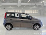  Fiat  Panda FIAT  / 2011 / 5P / BERLINA 1.2 69CV E6D-TEMP EASY #7