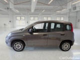  Fiat  Panda FIAT  / 2011 / 5P / BERLINA 1.2 69CV E6D-TEMP EASY #8