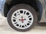  Fiat  Panda FIAT  / 2011 / 5P / BERLINA 1.2 69CV E6D-TEMP EASY #18