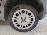  Fiat  Panda FIAT  / 2011 / 5P / BERLINA 1.2 69CV E6D-TEMP EASY #19