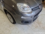  Fiat  Panda FIAT  / 2011 / 5P / BERLINA 1.2 69CV E6D-TEMP EASY #33