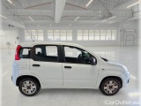  Fiat  Panda FIAT  1.3 MJT 95CV SeS E6 EASY #7