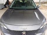  Peugeot  3008 PEUGEOT  / 2020 / 5P / SUV BLUEHDI 130 EAT8 SeS ACTIVE BUSINESS #22