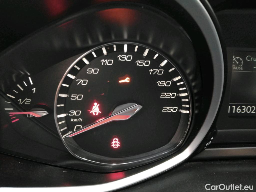  Peugeot  308  Active Business 1.5 HDI 100CV BVM6 E6dT #21