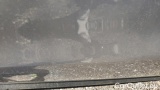  Citroen  C3 PureTech 110 S&S Feel #23