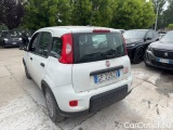  Fiat  Panda 1.0 FireFly 70cv S&S Hybrid #3