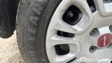  Fiat  Panda 1.0 FireFly 70cv S&S Hybrid #32