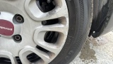  Fiat  Panda 1.0 FireFly 70cv S&S Hybrid #37