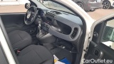  Fiat  Panda 1.0 Hybrid S&S 70cv E6.4 Van 2 posti #7