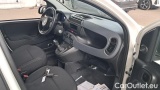  Fiat  Panda 1.0 Hybrid S&S 70cv E6.4 Van 2 posti #7