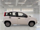  Fiat  Panda FIAT  / 2011 / 5P / BERLINA 1.2 69CV SeS E6D-TEMP EASY #7