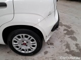  Fiat  Panda FIAT  / 2011 / 5P / BERLINA 1.2 69CV SeS E6D-TEMP EASY #83