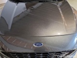  Ford  Kuga FORD  / 2019 / 5P / SUV 2.0 ECOBLUE 120CV 2WD ST-LINE BUS. AUTO #23