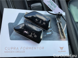  Cupra  Formentor  2.0 TSI VZ 4Dr AT 5d #14