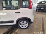  Fiat  Panda FIAT  / 2011 / 5P / BERLINA 1.0 FIREFLY 70CV SeS HYBRID CITY LIFE #21