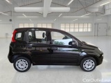  Fiat  Panda FIAT  / 2011 / 5P / BERLINA 1.2 69CV E6D-TEMP EASY #7