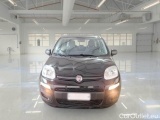  Fiat  Panda FIAT  / 2011 / 5P / BERLINA 1.2 69CV E6D-TEMP EASY #6
