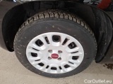  Fiat  Panda FIAT  / 2011 / 5P / BERLINA 1.2 69CV E6D-TEMP EASY #20